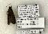  ( - 1202-250504-TX)  @13 [ ] Copyright (2008) Unspecified Research Collection of Robert J. Borth