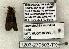  ( - 1203-270503-TX)  @12 [ ] Copyright (2008) Unspecified Research Collection of Robert J. Borth
