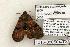  ( - 1216-080504-TX)  @13 [ ] Copyright (2008) Unspecified Research Collection of Robert J. Borth
