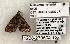 ( - 1228-270504-TX)  @12 [ ] Copyright (2008) Unspecified Research Collection of Robert J. Borth