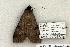  ( - 1253-120703-UT)  @13 [ ] Copyright (2008) Unspecified Research Collection of Robert J. Borth