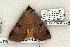  ( - 1254-230603-AZ)  @12 [ ] Copyright (2008) Unspecified Research Collection of Robert J. Borth