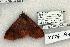  ( - 1255-210603-AZ)  @13 [ ] Copyright (2008) Unspecified Research Collection of Robert J. Borth