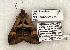  ( - 1267-280503-TX)  @12 [ ] Copyright (2008) Unspecified Research Collection of Robert J. Borth