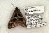 ( - 1268-040603-TX)  @12 [ ] Copyright (2008) Unspecified Research Collection of Robert J. Borth