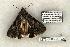  ( - 1277-080603-TX)  @13 [ ] Copyright (2008) Unspecified Research Collection of Robert J. Borth