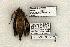  ( - 1281-080603-TX)  @12 [ ] Copyright (2008) Unspecified Research Collection of Robert J. Borth