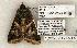  ( - 1283-090603-TX)  @13 [ ] Copyright (2008) Unspecified Research Collection of Robert J. Borth