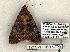  ( - 1289-110603-TX)  @14 [ ] Copyright (2008) Unspecified Research Collection of Robert J. Borth