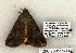  ( - 1290-260503-TX)  @14 [ ] Copyright (2008) Unspecified Research Collection of Robert J. Borth