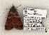  ( - 1291-120603-TX)  @14 [ ] Copyright (2008) Unspecified Research Collection of Robert J. Borth