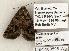  ( - 1294-160598-WI)  @13 [ ] Copyright (2008) Unspecified Research Collection of Robert J. Borth