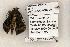  ( - 1295-160598-WI)  @13 [ ] Copyright (2008) Unspecified Research Collection of Robert J. Borth