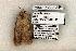  ( - 1299-120603-TX)  @13 [ ] Copyright (2008) Unspecified Research Collection of Robert J. Borth