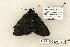  ( - 1199-300406-FL)  @12 [ ] Copyright (2008) Unspecified Research Collection of Robert J. Borth