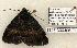  ( - 1197-300406-FL)  @12 [ ] Copyright (2008) Unspecified Research Collection of Robert J. Borth