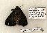  ( - 1198-300406-FL)  @12 [ ] Copyright (2008) Unspecified Research Collection of Robert J. Borth
