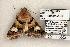 ( - 1302-080603-TX)  @12 [ ] Copyright (2008) Unspecified Research Collection of Robert J. Borth