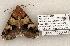  ( - 1303-290603-UT)  @12 [ ] Copyright (2008) Unspecified Research Collection of Robert J. Borth
