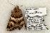  ( - 1306-080603-TX)  @12 [ ] Copyright (2008) Unspecified Research Collection of Robert J. Borth