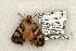  ( - 1307-070603-TX)  @13 [ ] Copyright (2008) Unspecified Research Collection of Robert J. Borth