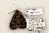  ( - 1308-130602-AR)  @13 [ ] Copyright (2008) Unspecified Research Collection of Robert J. Borth