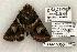  ( - 1309-150504-TX)  @13 [ ] Copyright (2008) Unspecified Research Collection of Robert J. Borth
