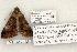  ( - 1324-230603-AZ)  @12 [ ] Copyright (2008) Unspecified Research Collection of Robert J. Borth