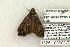  ( - 1325-100603-TX)  @14 [ ] Copyright (2008) Unspecified Research Collection of Robert J. Borth