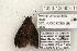 ( - 1326-100603-TX)  @13 [ ] Copyright (2008) Unspecified Research Collection of Robert J. Borth