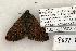  ( - 1327-220603-AZ)  @13 [ ] Copyright (2008) Unspecified Research Collection of Robert J. Borth