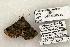 ( - 1331-300503-TX)  @13 [ ] Copyright (2008) Unspecified Research Collection of Robert J. Borth