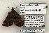  ( - 1332-030603-TX)  @13 [ ] Copyright (2008) Unspecified Research Collection of Robert J. Borth