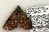  ( - 1335-100603-TX)  @14 [ ] Copyright (2008) Unspecified Research Collection of Robert J. Borth