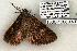  ( - 1336-100603-TX)  @13 [ ] Copyright (2008) Unspecified Research Collection of Robert J. Borth