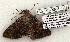  ( - 1337-080603-TX)  @12 [ ] Copyright (2008) Unspecified Research Collection of Robert J. Borth