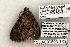 ( - 1338-090603-TX)  @12 [ ] Copyright (2008) Unspecified Research Collection of Robert J. Borth