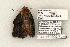  ( - 1344-160505-FL)  @12 [ ] Copyright (2008) Unspecified Research Collection of Robert J. Borth
