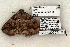  ( - 1364-080603-TX)  @13 [ ] Copyright (2008) Unspecified Research Collection of Robert J. Borth