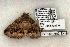  ( - 1365-040603-TX)  @12 [ ] Copyright (2008) Unspecified Research Collection of Robert J. Borth