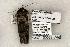  ( - 1367-150599-WI)  @13 [ ] Copyright (2008) Unspecified Research Collection of Robert J. Borth