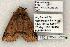  ( - 1370-170598-WI)  @14 [ ] Copyright (2008) Unspecified Research Collection of Robert J. Borth
