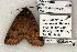  ( - 1371-160598-WI)  @13 [ ] Copyright (2008) Unspecified Research Collection of Robert J. Borth