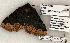  ( - 1373-260599-WI)  @13 [ ] Copyright (2008) Unspecified Research Collection of Robert J. Borth