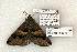  ( - 1378-120504-TX)  @13 [ ] Copyright (2008) Unspecified Research Collection of Robert J. Borth
