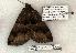  ( - 1379-180504-TX)  @12 [ ] Copyright (2008) Unspecified Research Collection of Robert J. Borth