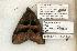  ( - 1380-150802-IN)  @12 [ ] Copyright (2008) Unspecified Research Collection of Robert J. Borth