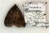  ( - 1392-130802-IN)  @13 [ ] Copyright (2008) Unspecified Research Collection of Robert J. Borth