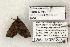  ( - 1396-130802-IN)  @13 [ ] Copyright (2008) Unspecified Research Collection of Robert J. Borth