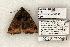  ( - 1400-080702-VA)  @13 [ ] Copyright (2008) Unspecified Research Collection of Robert J. Borth
